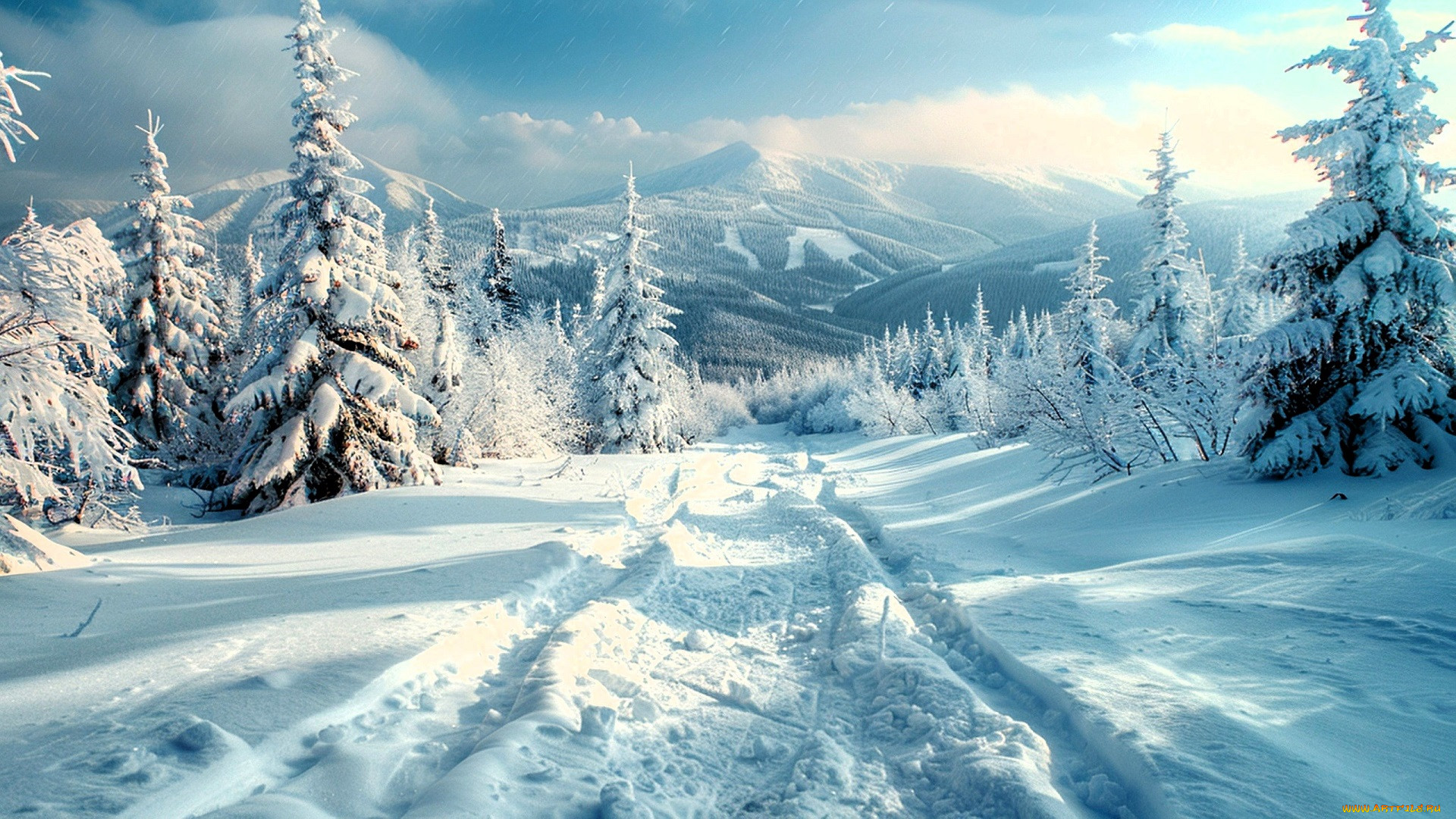 3 ,  , nature, , , , , , 